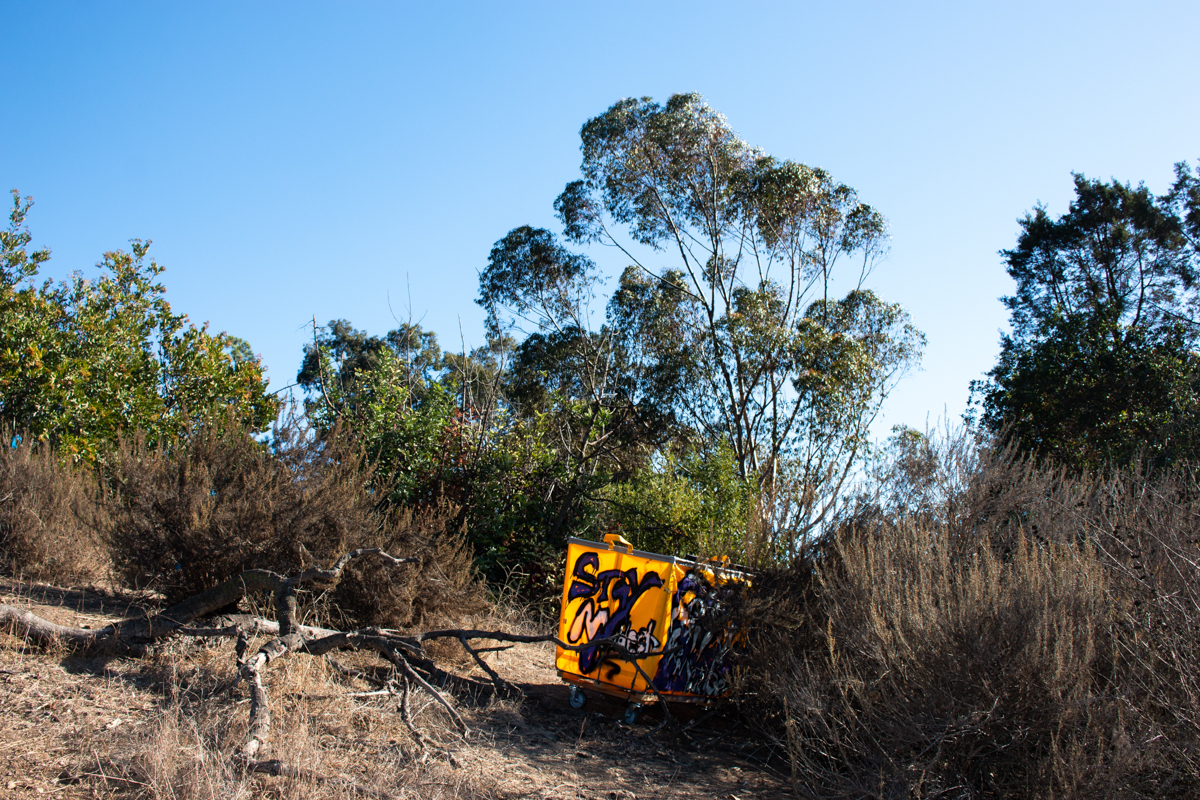 Sage Hill — Institute of the Environment and Sustainability at UCLA